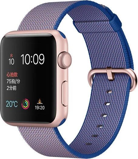 Apple Watch Series 1(42mm)